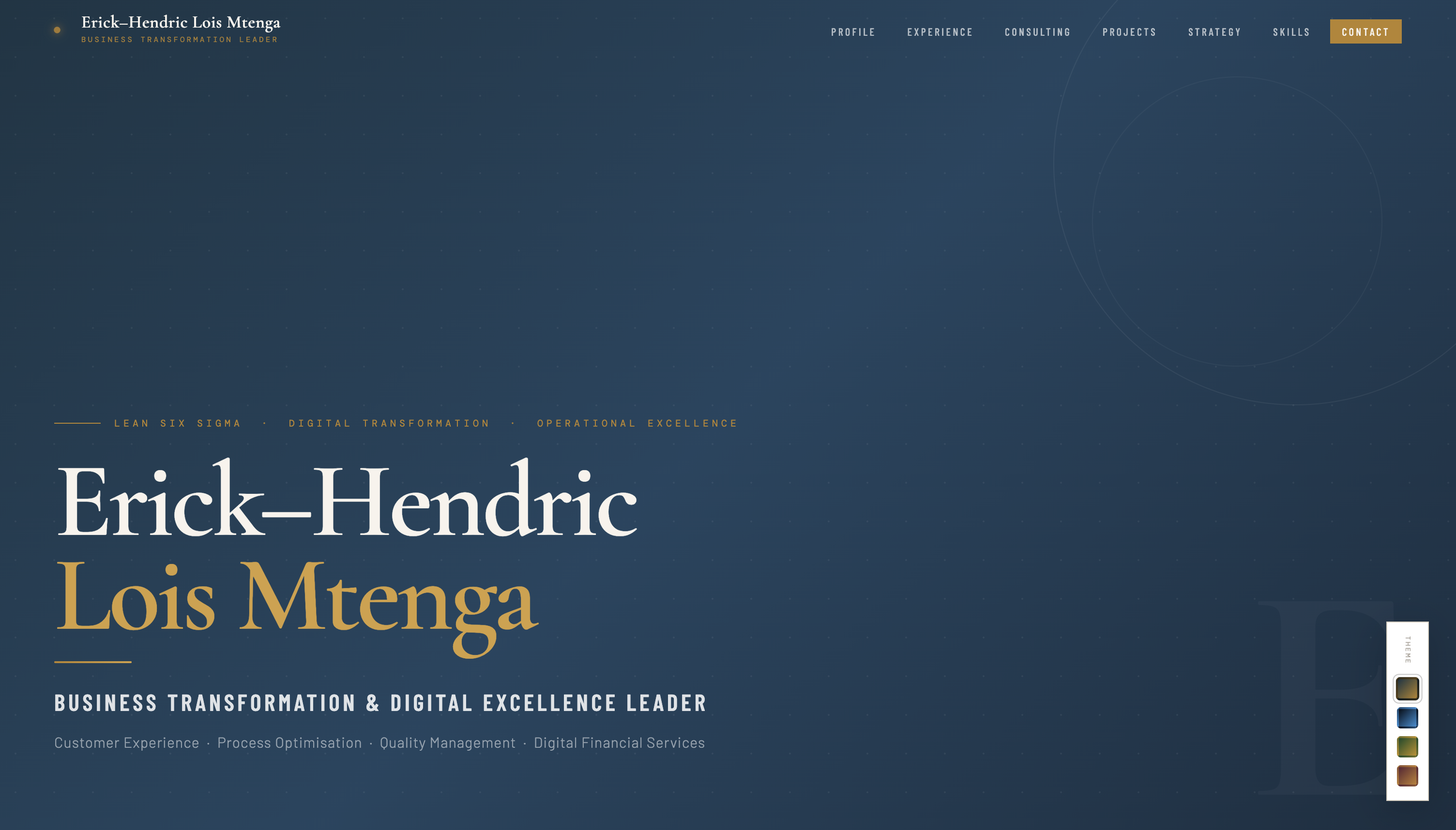 The Erick Mtenga CV website